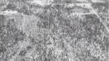 66727 Wagon Road - Photo 1