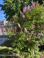 3722 Roald Amundsen Avenue - Photo 3