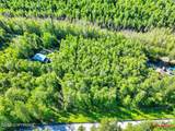 5601 Cape Birch Drive - Photo 10