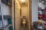 1169 Trumpeter Swan Drive - Photo 50