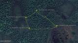 Lot 159 Kenai Spur Hwy Ext (Trail) - Photo 2