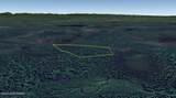Lot 159 Kenai Spur Hwy Ext (Trail) - Photo 6