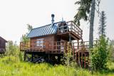 45638 Back Troll - Photo 2