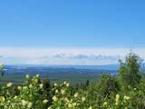 9921 Nearpoint Drive - Photo 20