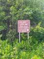 49995 Wapiti Road - Photo 2