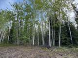 Mi 285 Parks Highway - Photo 2