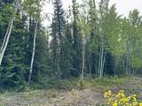 Mi 285 Parks Highway - Photo 3