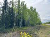 Mi 285 Parks Highway - Photo 4