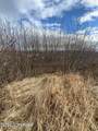 36680 Fox Road - Photo 8