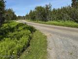 54625 Rolling Mdws Road - Photo 118