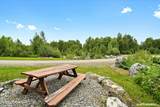 50233 Muir Road - Photo 43