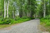 50233 Muir Road - Photo 53