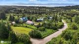 41722 Charlie Drive - Photo 44