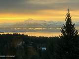 41722 Charlie Drive - Photo 48