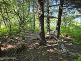 1620 Phoenix Road - Photo 10