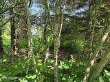 1620 Phoenix Road - Photo 8
