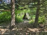 1620 Phoenix Road - Photo 9