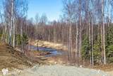 2851 Palmer-Wasilla Highway - Photo 11