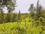 31315 Birch Haven Road - Photo 3