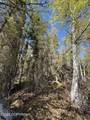 NHN Lenora Court - Photo 29