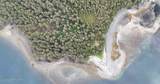 000 Dry Spruce Island - Photo 10