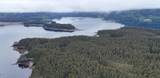 000 Dry Spruce Island - Photo 11