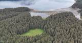 000 Dry Spruce Island - Photo 14