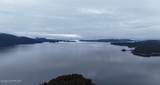 000 Dry Spruce Island - Photo 15