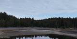 000 Dry Spruce Island - Photo 16