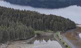 000 Dry Spruce Island - Photo 17