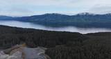 000 Dry Spruce Island - Photo 18
