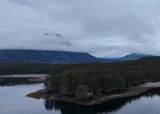 000 Dry Spruce Island - Photo 2