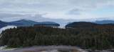 000 Dry Spruce Island - Photo 21