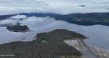 000 Dry Spruce Island - Photo 22