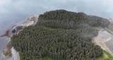 000 Dry Spruce Island - Photo 23