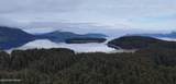 000 Dry Spruce Island - Photo 24