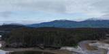 000 Dry Spruce Island - Photo 28