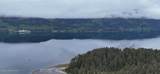 000 Dry Spruce Island - Photo 31