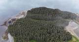 000 Dry Spruce Island - Photo 33
