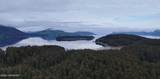 000 Dry Spruce Island - Photo 6