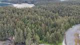 000 Dry Spruce Island - Photo 7