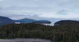000 Dry Spruce Island - Photo 8