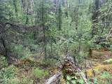 23729 Veta Loop - Photo 13