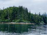 L4 Par E Naukati Bay - Photo 3