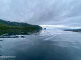 L4 Par E Naukati Bay - Photo 4