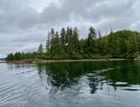 L4 Par E Naukati Bay - Photo 7