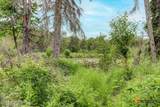 15639 Wiggler Street - Photo 3