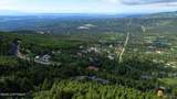 7990 Paine Road - Photo 98