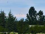 64111 Nikolaevsk Road - Photo 2