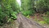L2 Back Country Drive - Photo 47